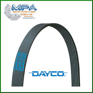 4PK855 V-RIBBED BELTS 855,0MM, NUMBER OF RIBS: 4