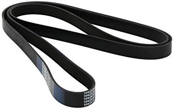 7PK2418 |V-RIBBED BELTS DAYCO 2418MM, N:METZGER Part 7PK2418