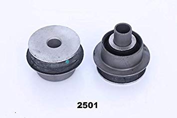 RU-2501